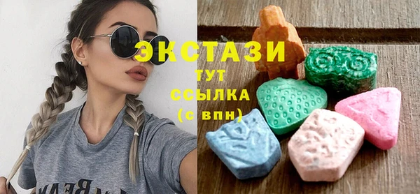 ECSTASY Богородицк